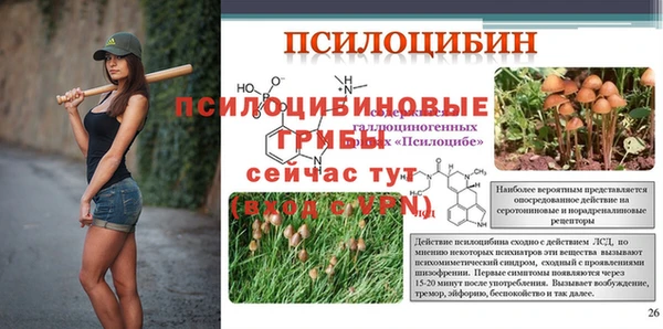 шишки Волосово