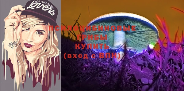 гашик Волоколамск
