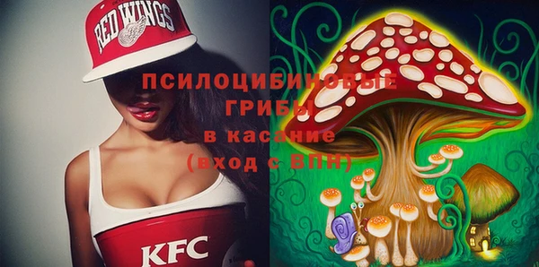 СК Володарск