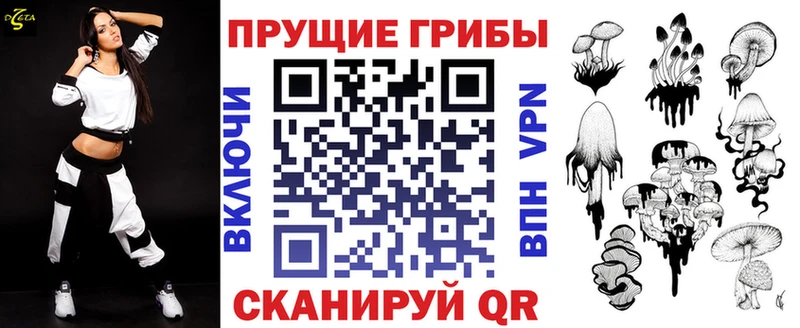 Псилоцибиновые грибы прущие грибы  hydra вход  Западная Двина  даркнет сайт 